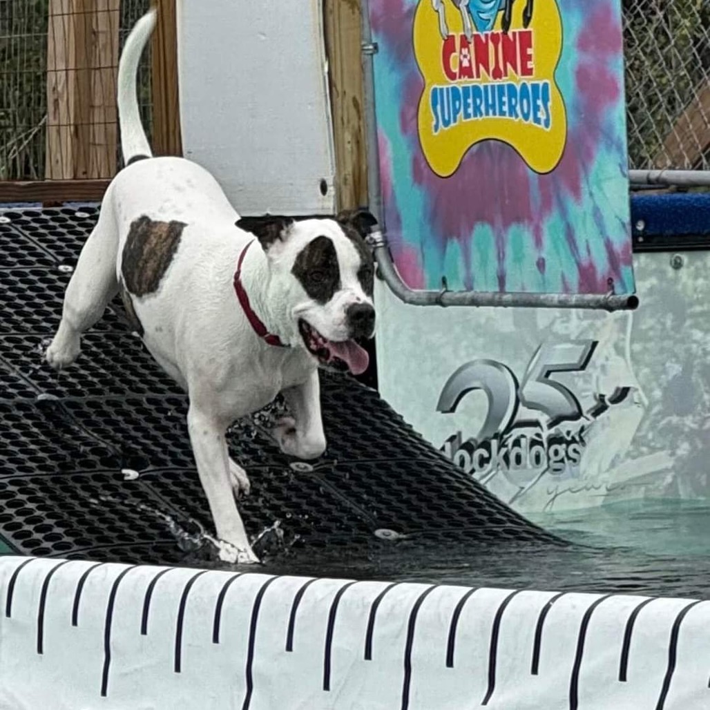 Petey, photo 12