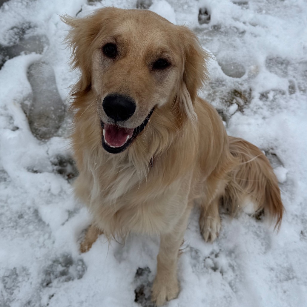 Maggie