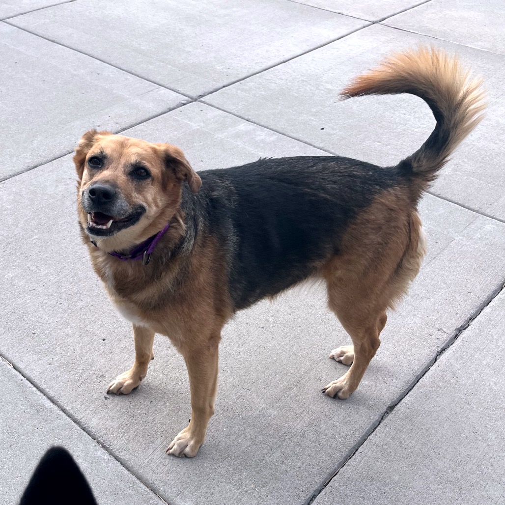 Lucy, photo 8