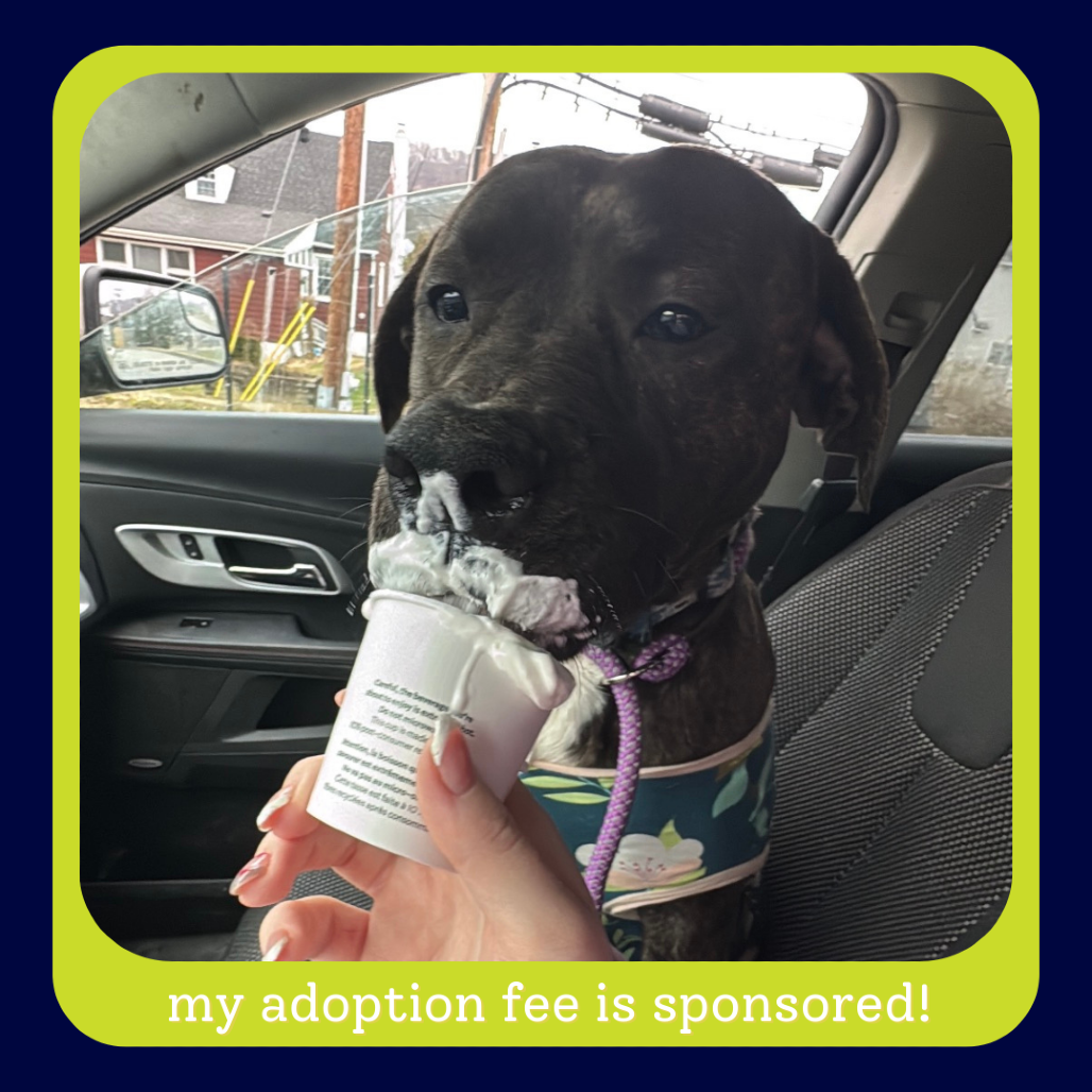 Minnie — thumbnail 5