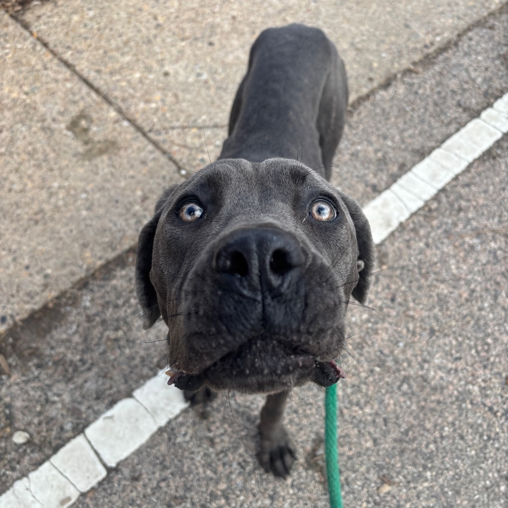 Jos Scarborough — thumbnail 4