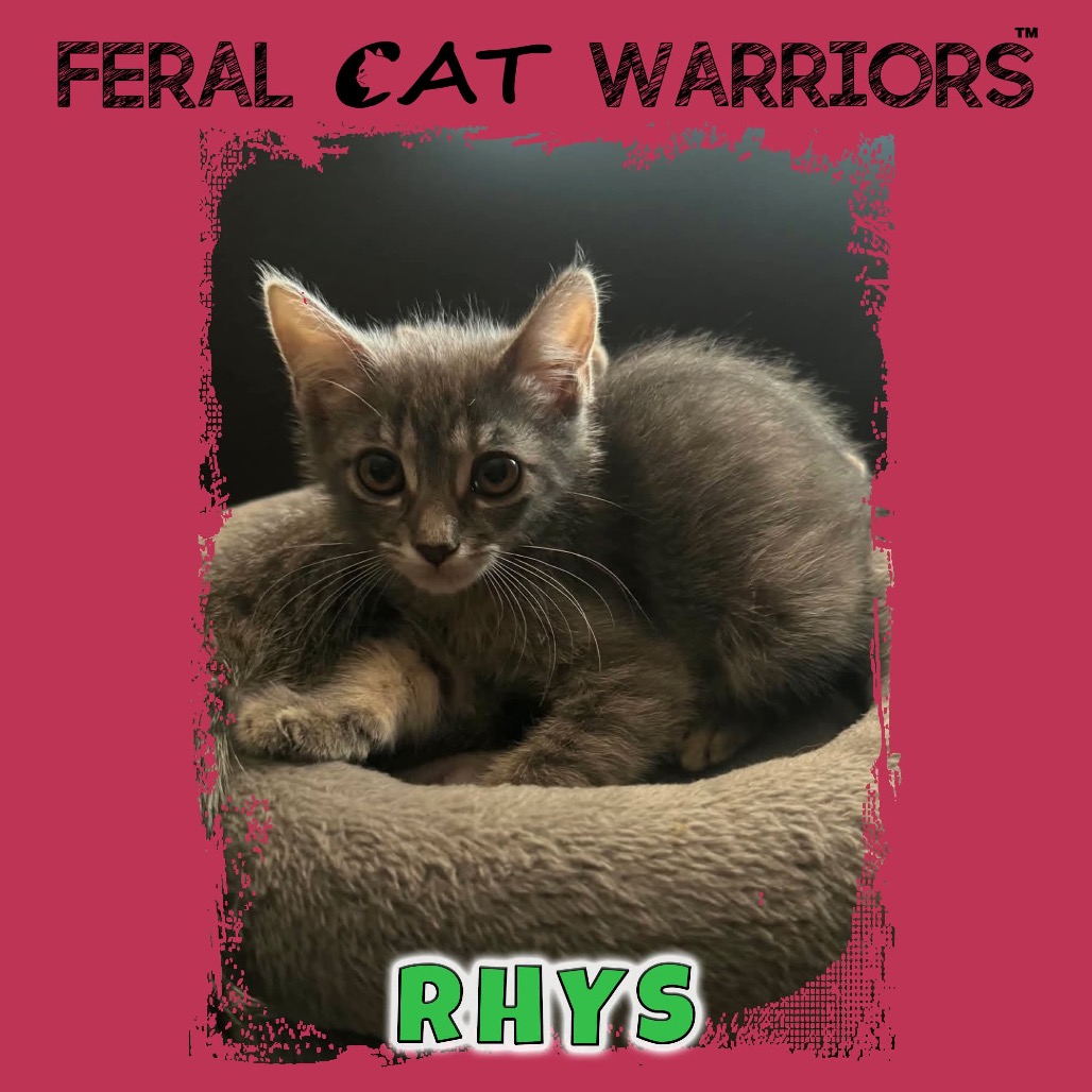 Rhys