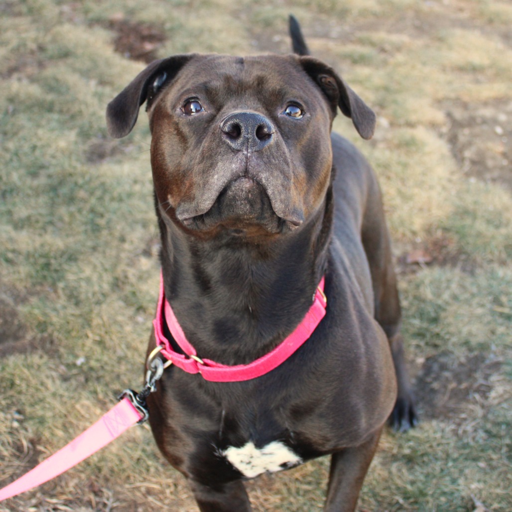 Miss Kokomo — thumbnail 2