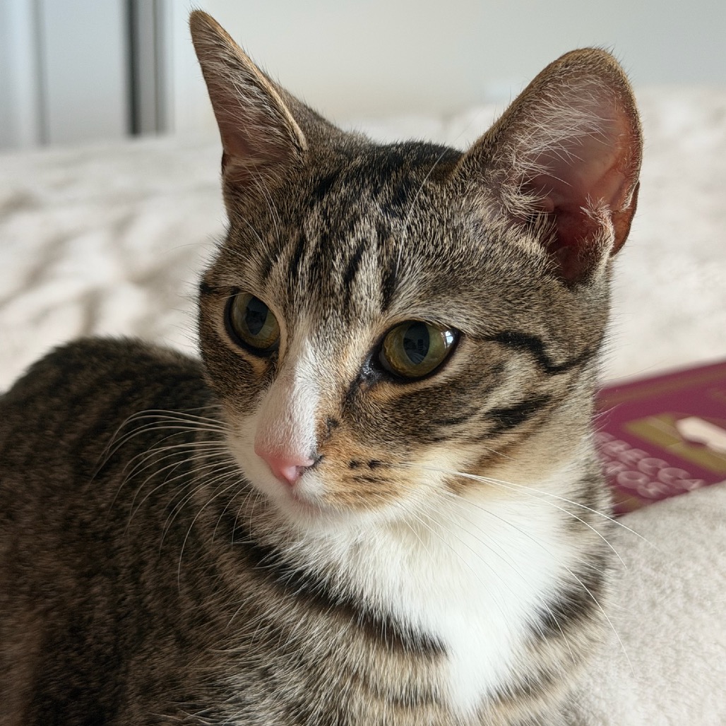 Violet, photo 22