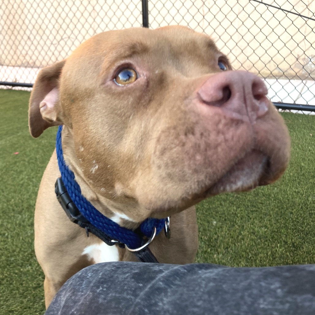 Sugar — thumbnail 3