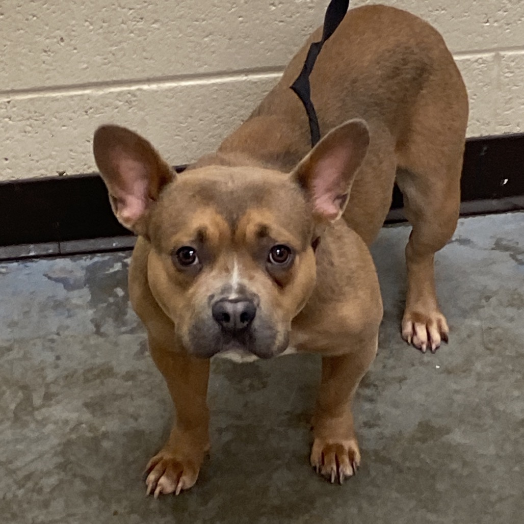 Winnie/CUPCAKE — thumbnail 2