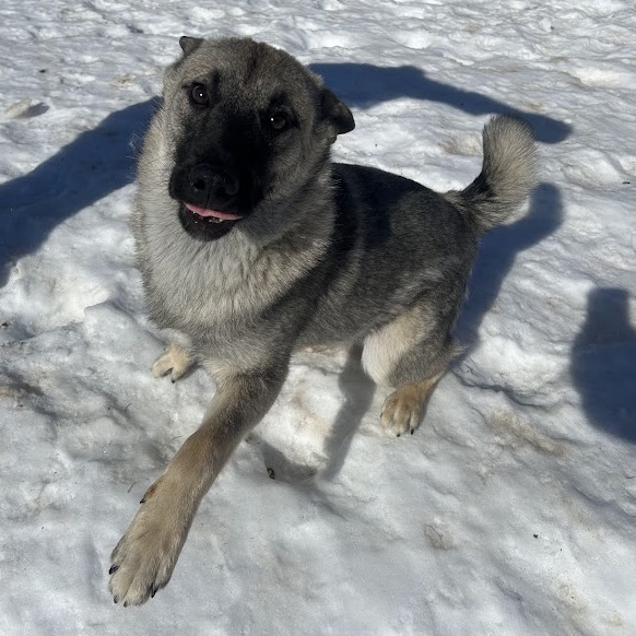 Biggz — thumbnail 3