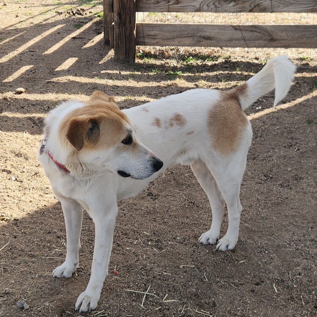 Colby (Courtesy Listing) — thumbnail 3