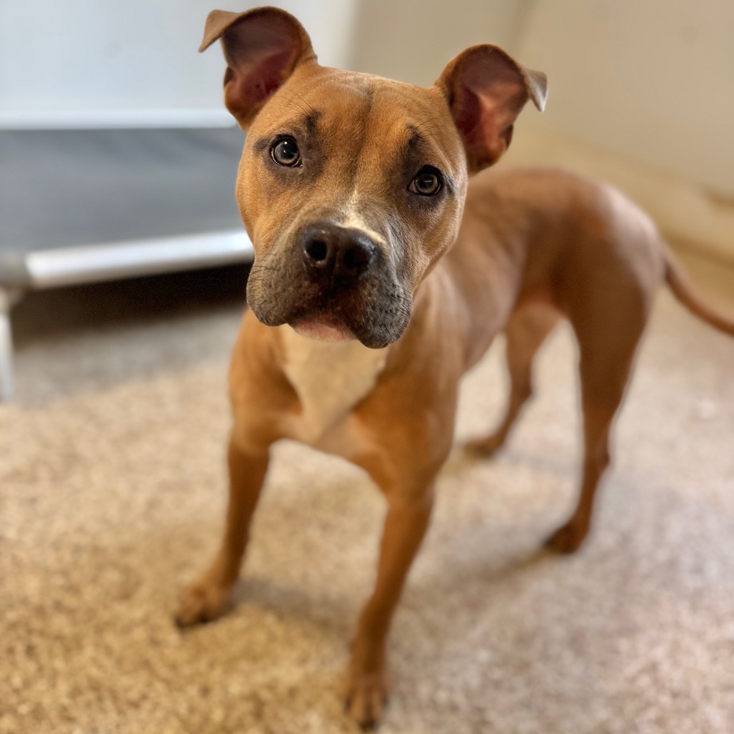 Tink — thumbnail 3