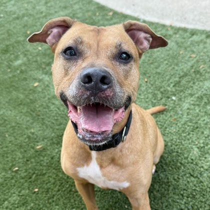 Myra — thumbnail 9