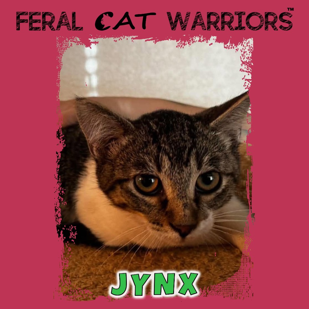 Jynx