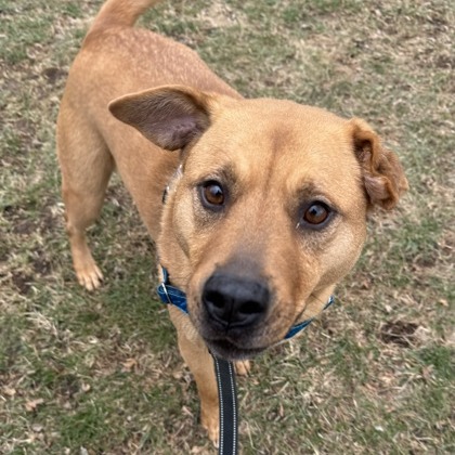 Winnie — thumbnail 8