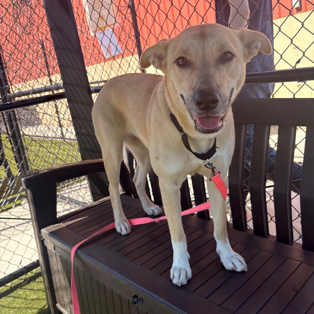 Storm — thumbnail 3