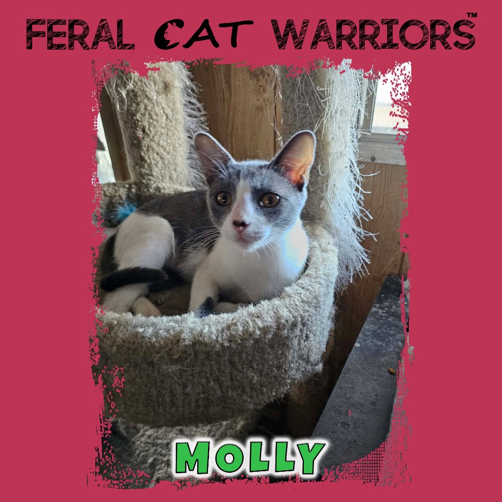 Molly