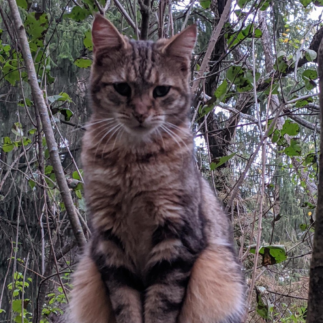 Photo of Arya