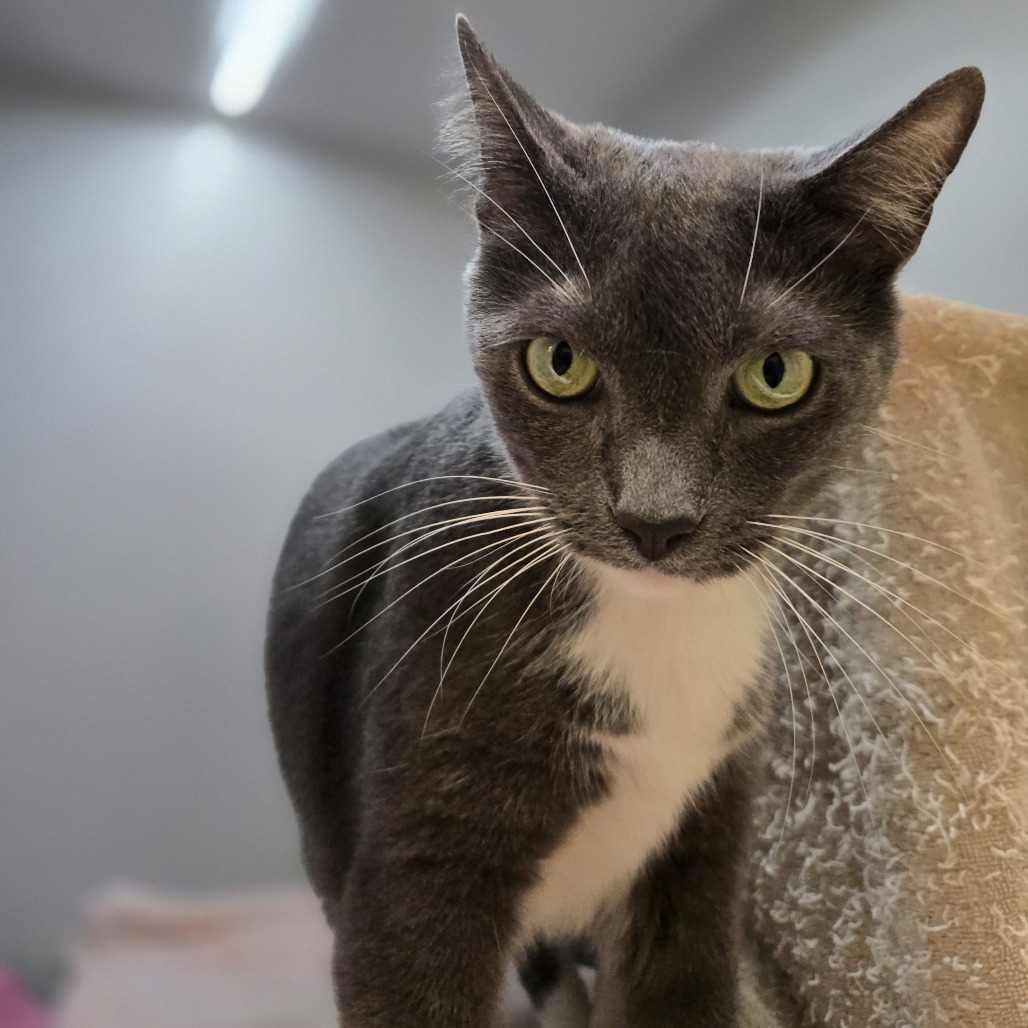 Photo of Kiwi 5