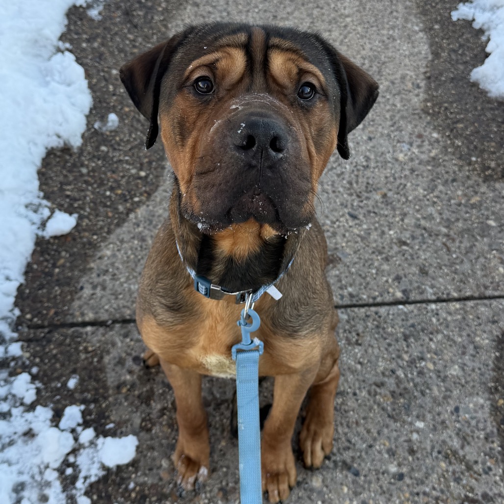 Karl — thumbnail 3