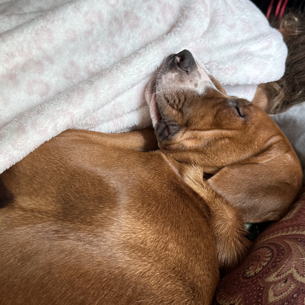 Lottie, photo 10