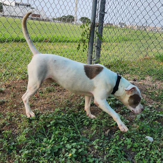 Missy photo 16
