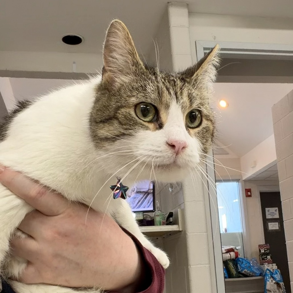 Winter — thumbnail 2