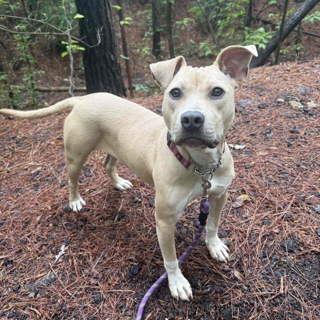 Pippa 01-1426, photo 7