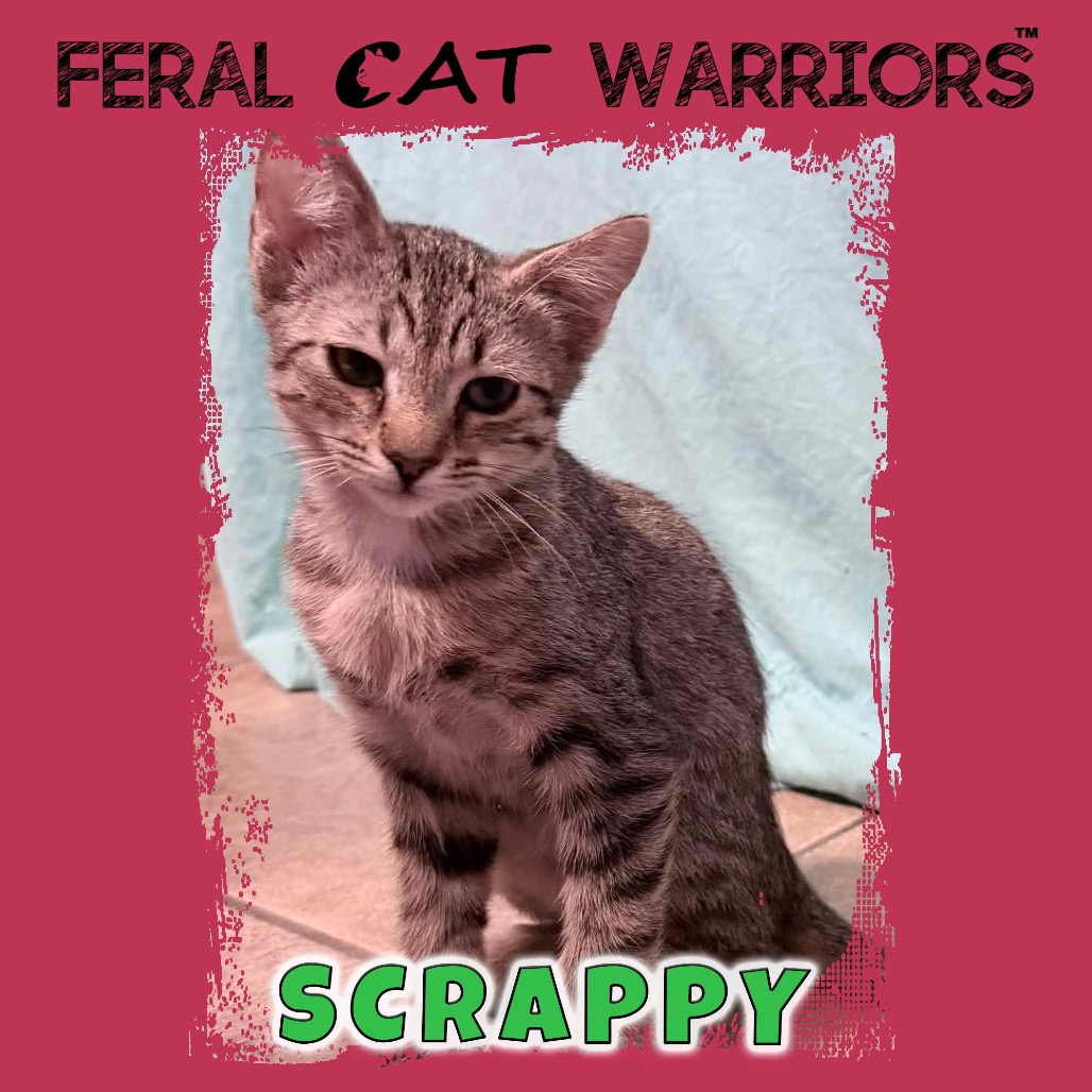 Scrappy