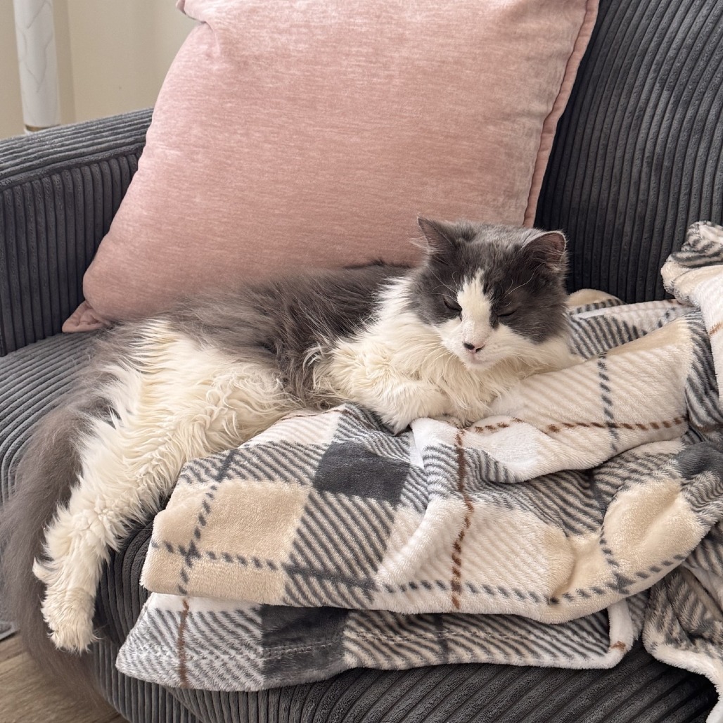 Photo of Fuzzy 8
