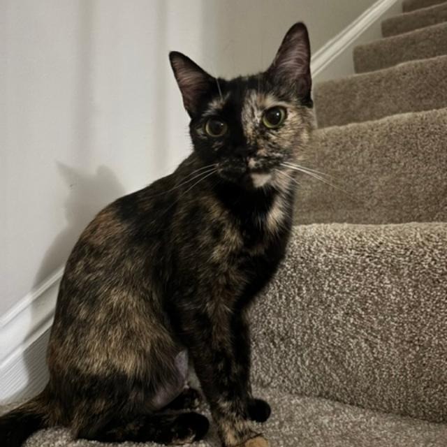 Nell, photo 8