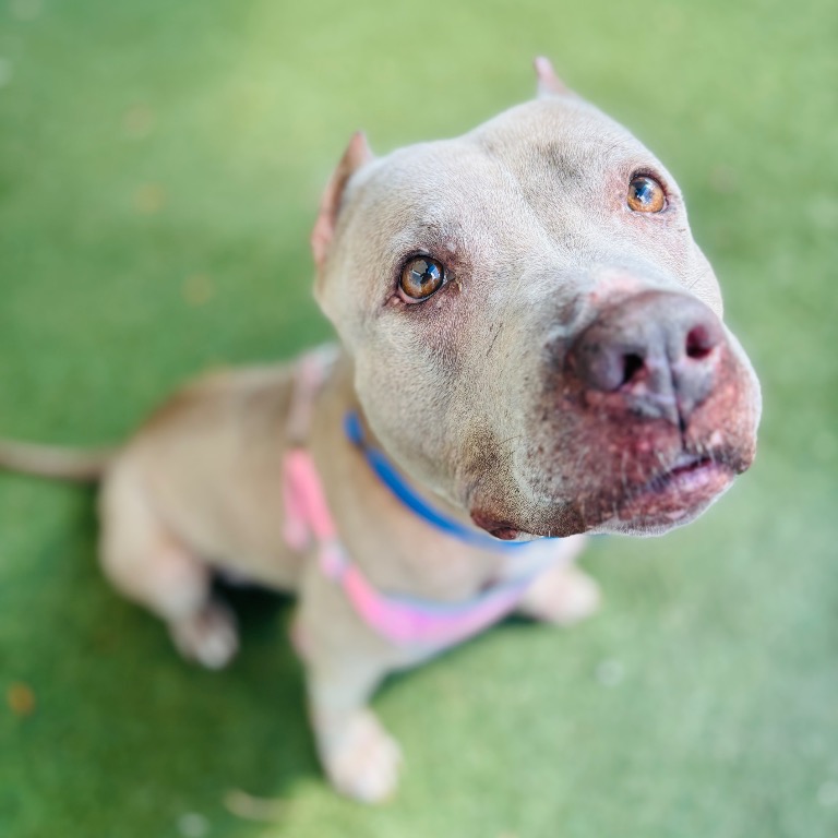 Photo of Paige playing