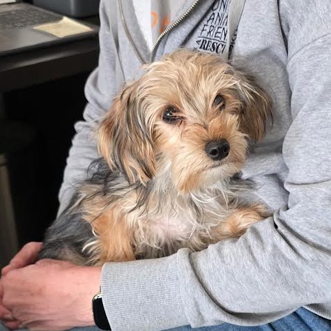 Tucker — thumbnail 2