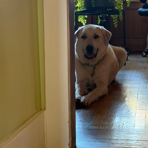 STANLEY, photo 13