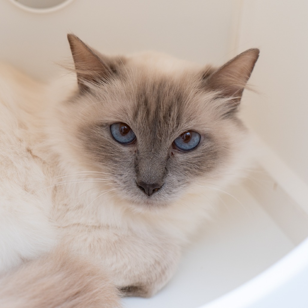 Tina