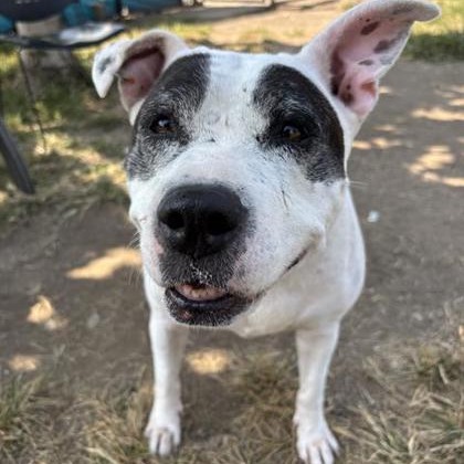 Diamond — thumbnail 8