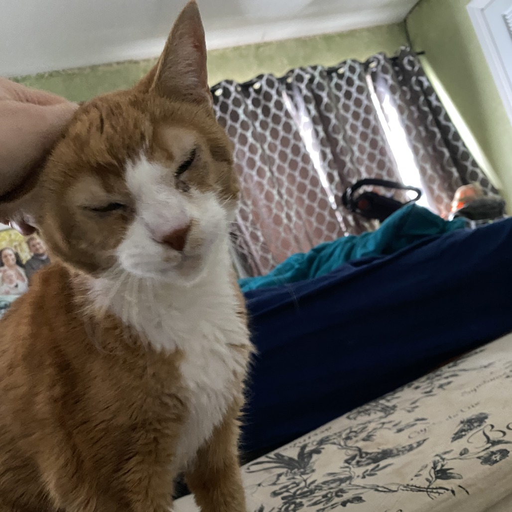 fb327d313b242ba940c4bc17085327e3