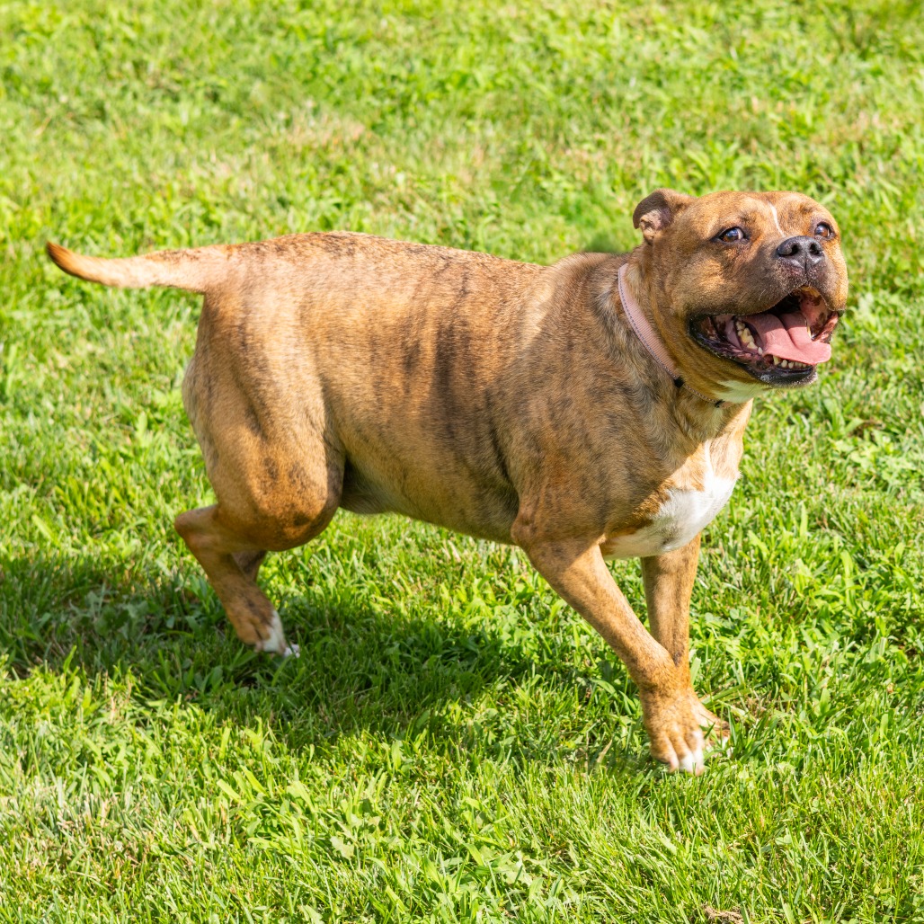 Zeus, additional photo