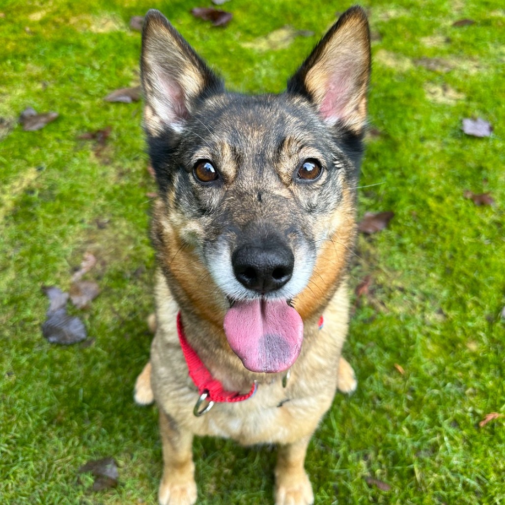 Kaia Bear — thumbnail 3