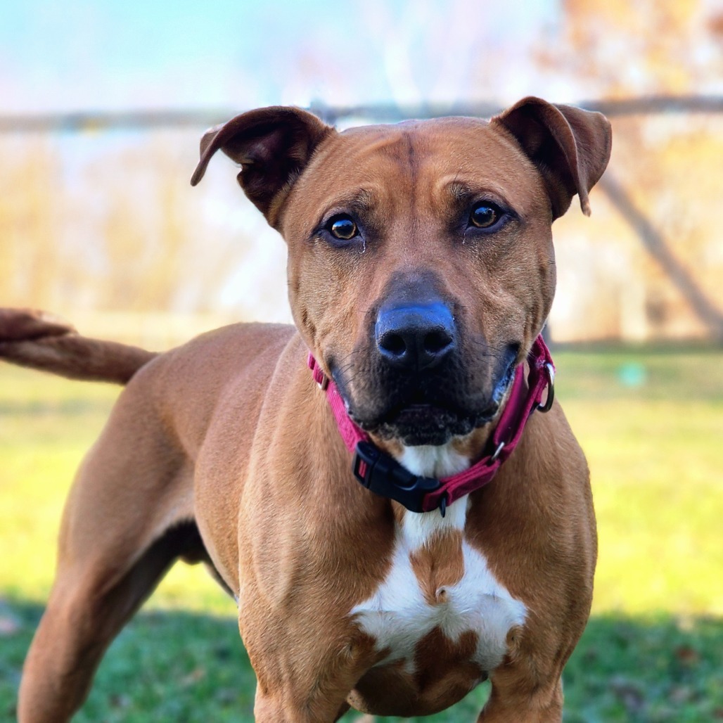 Louie, photo 8