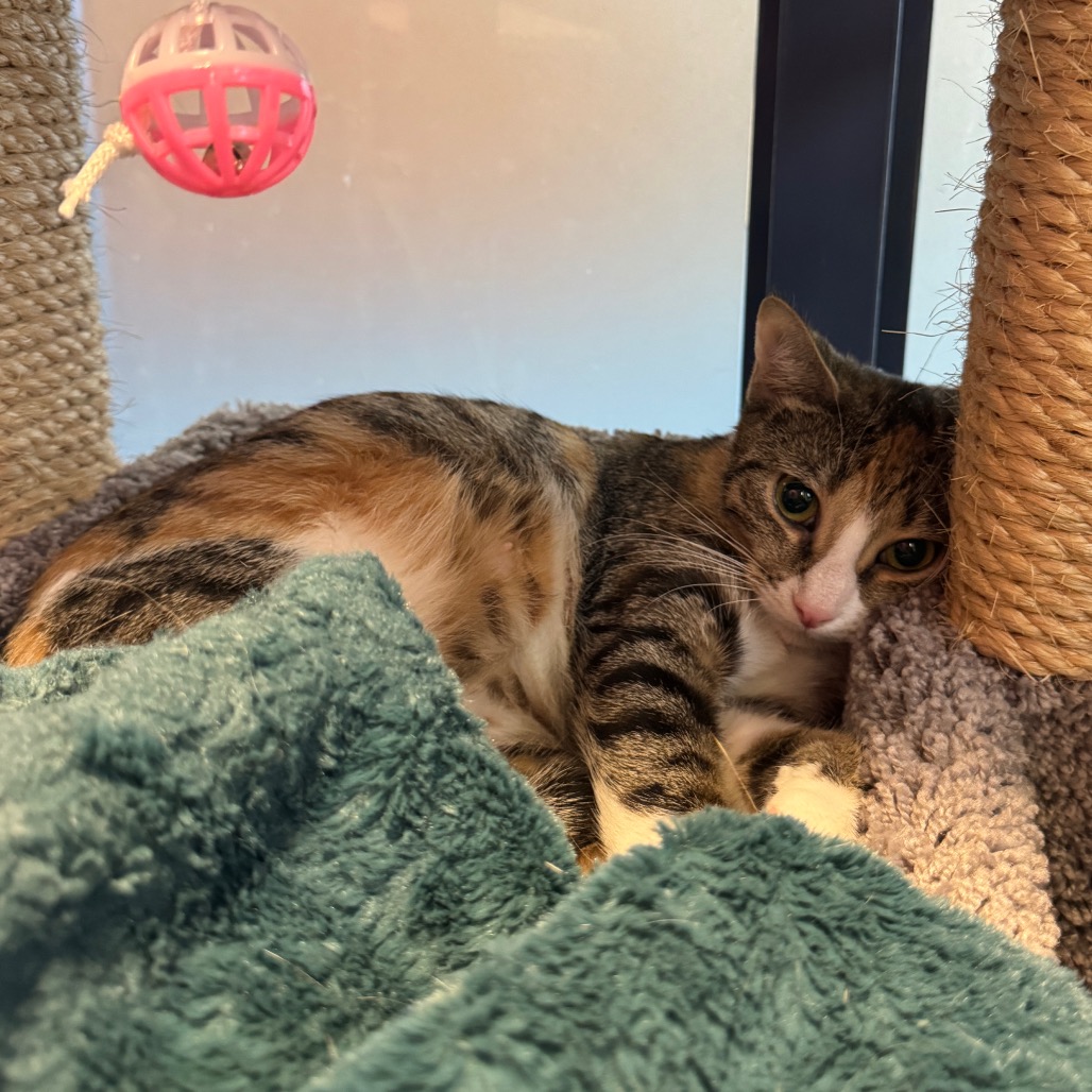 Photo of Canberra and Havana 5