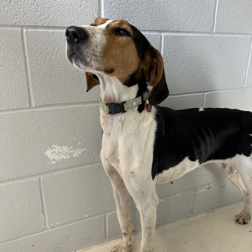 Maisy — thumbnail 3