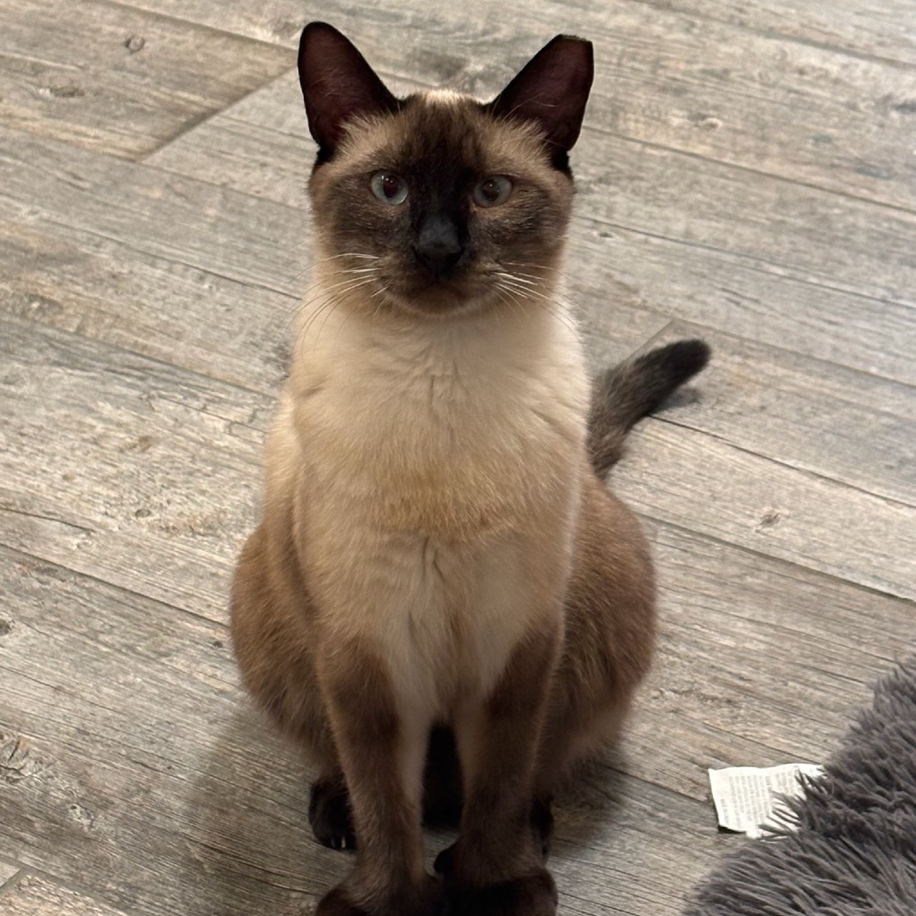 Photo of Jameson
