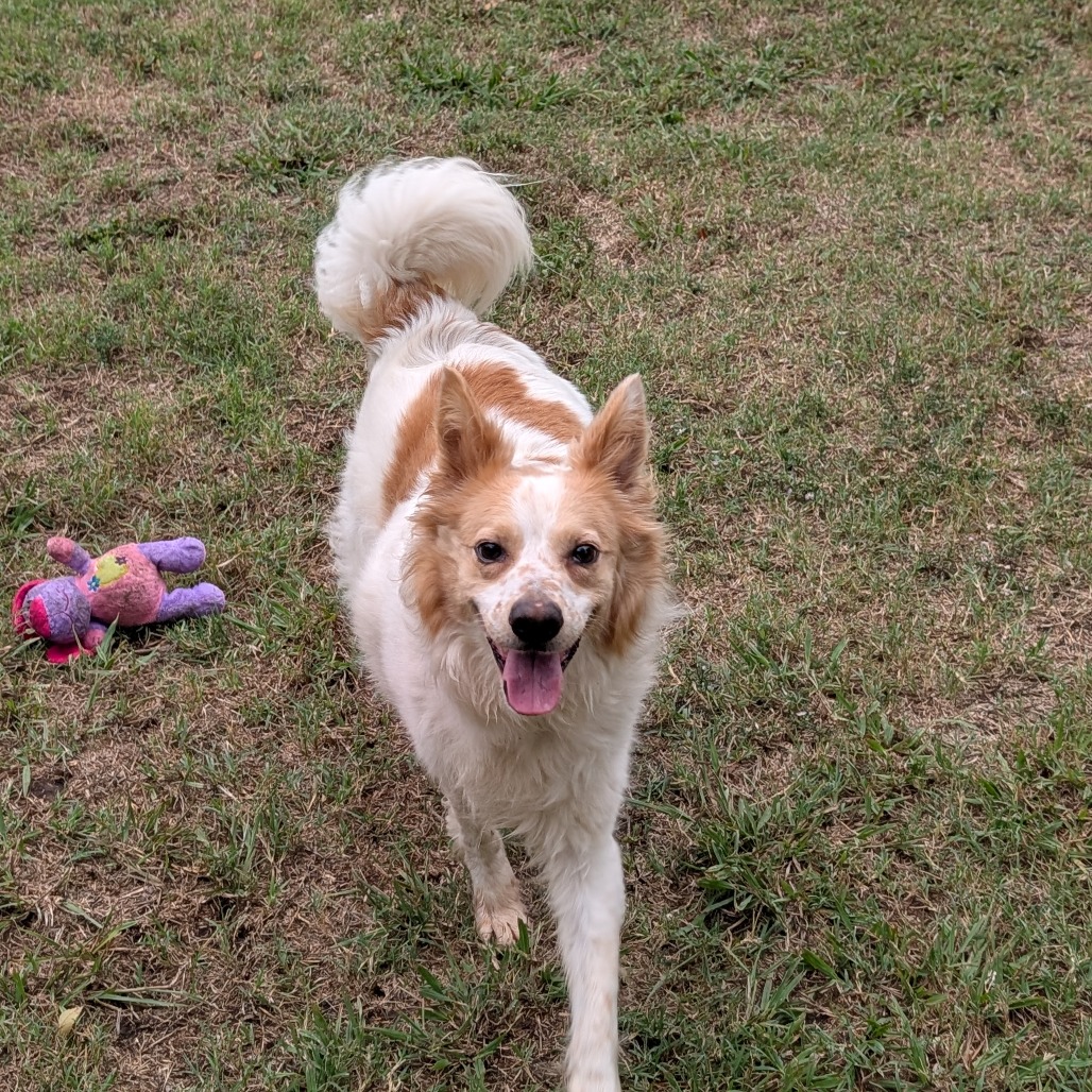Sandy photo 23