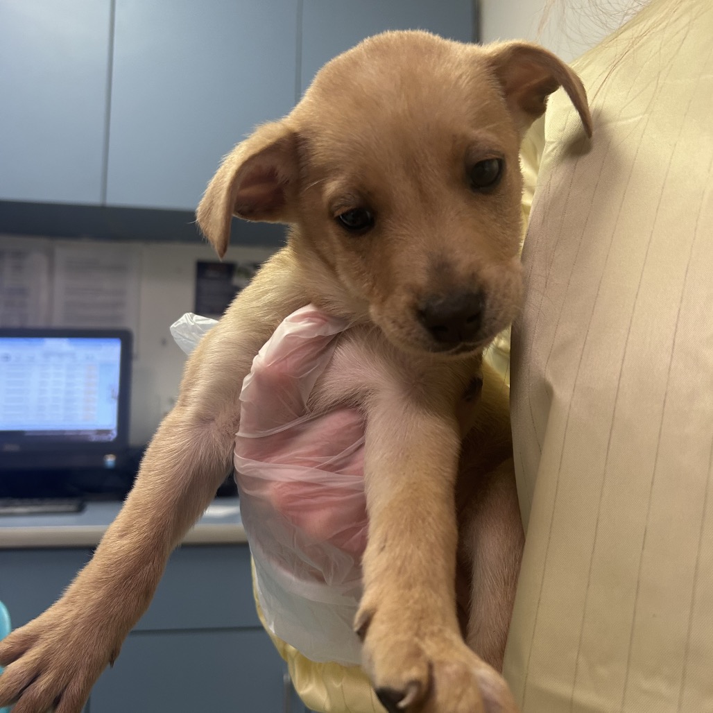 Butter BTS Remix — thumbnail 3