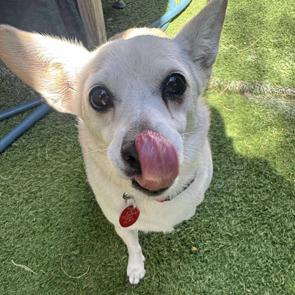 Molly Mae
