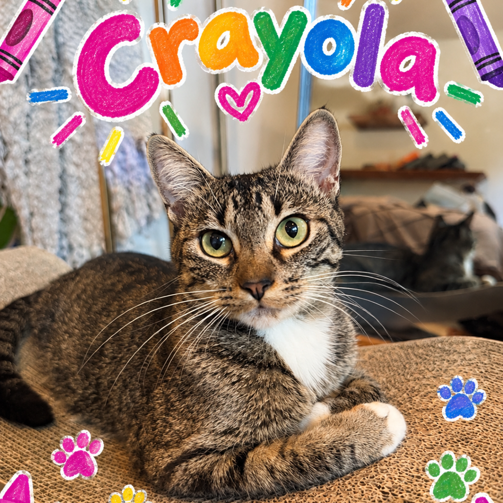 Crayola