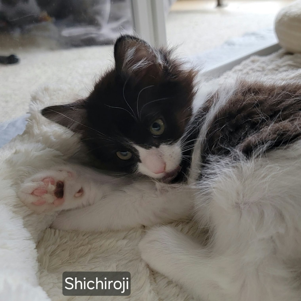 Shichiroji, photo 2
