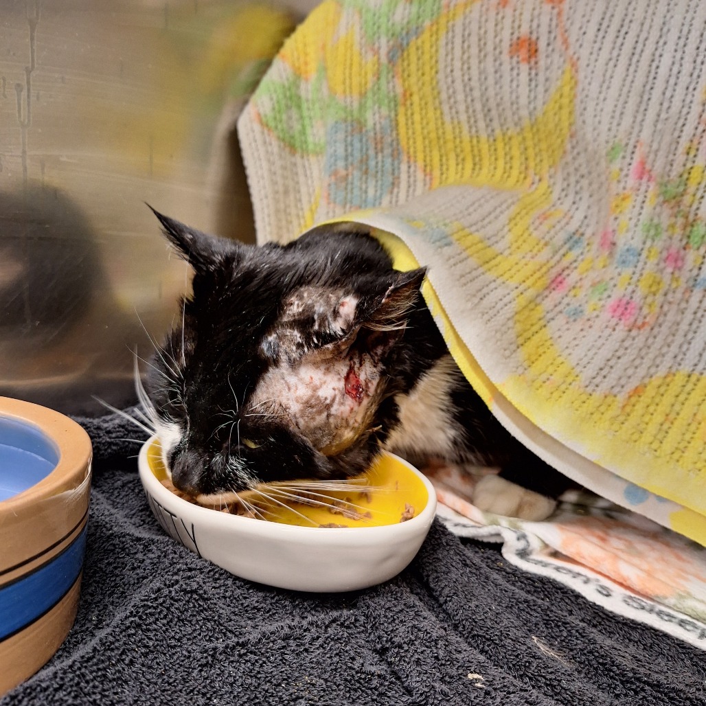 Andrew — thumbnail 3