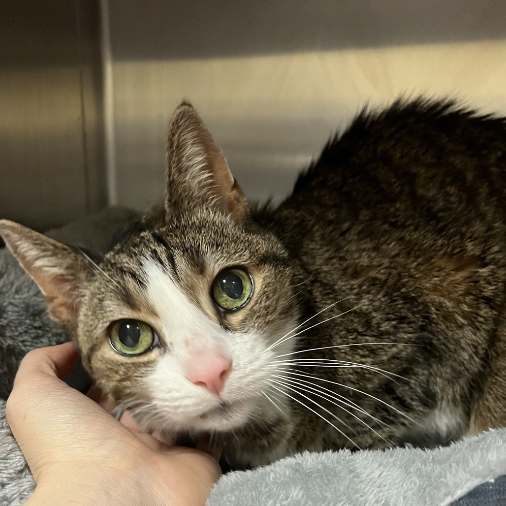 66945d971cd59f0236fe5fc1bd4d9dc2