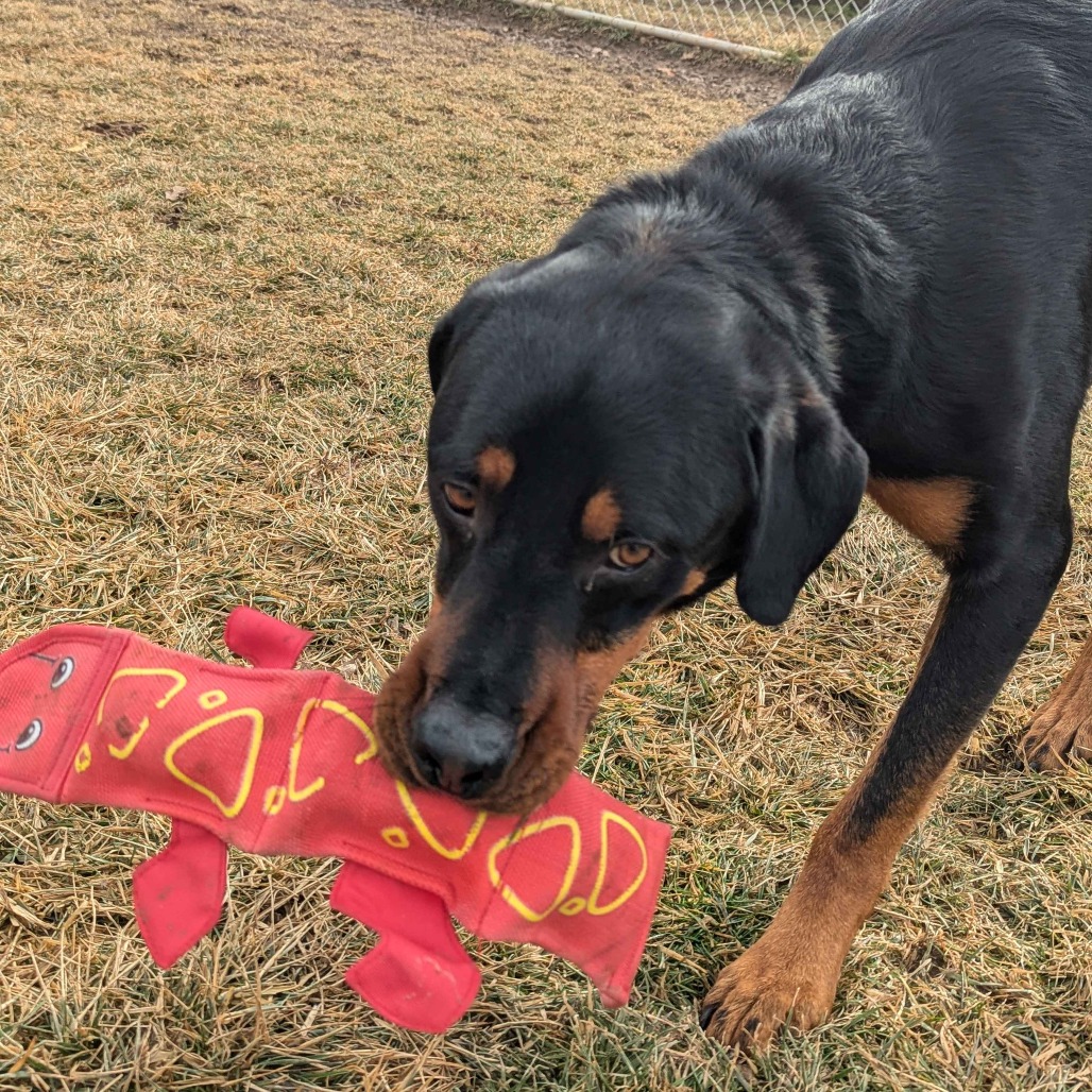 Atlas — thumbnail 5