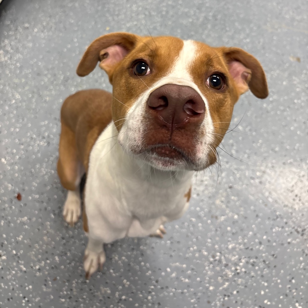 Woody-Foster — thumbnail 3