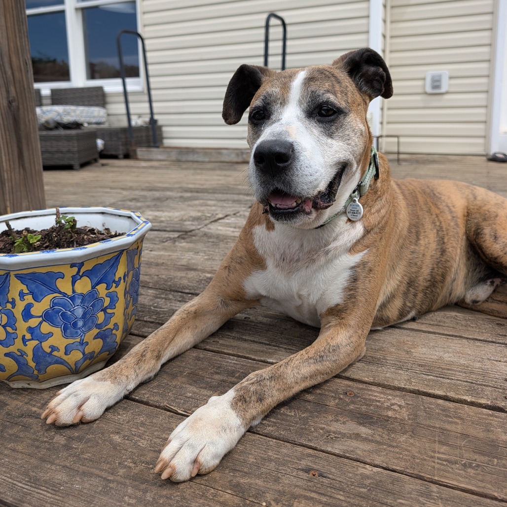 Frank, photo 3